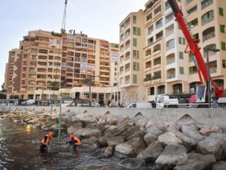 Moduli Econcrete per biodiversità al porto di Fontvieille a Monaco