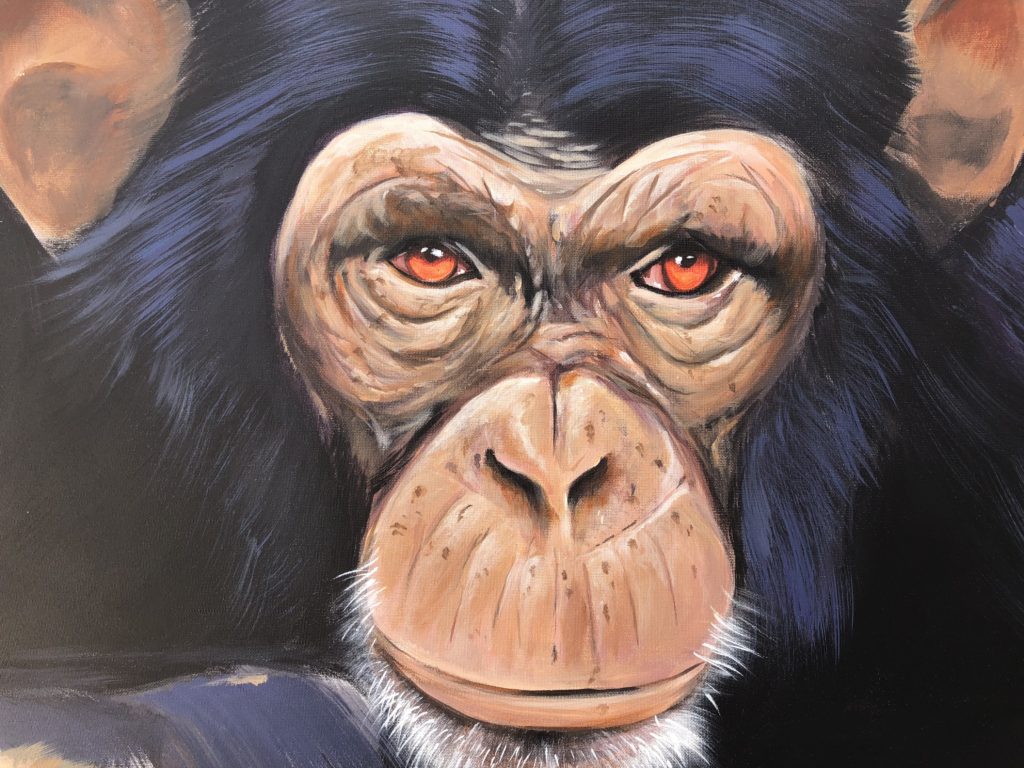 Animali da salvare, la FPA2 portavoce con l'aiuto della street art di UPAW e di una mostra fotografica dedicata agli scimpanzé