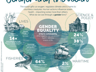 8 Giugno Giornata Mondiale degli Oceani con l'aiuto delle donne indetta dall'ONU