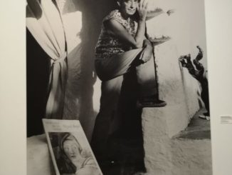 Mostra dedicata a Dalí fino all'8 settembre al Grimaldi Forum raccontata da Cristina Veronese
