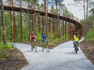Passeggiata nelle Fiandre con Maurizio di Maggio in bicicletta nel parco di Bokrijk