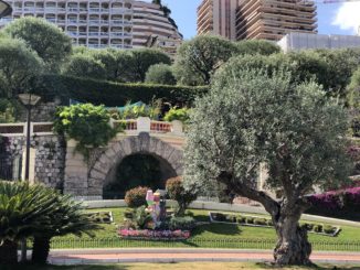 Il Comune di Monaco riapre piscina e palestra Rainier III e parco Princesse Antoinette