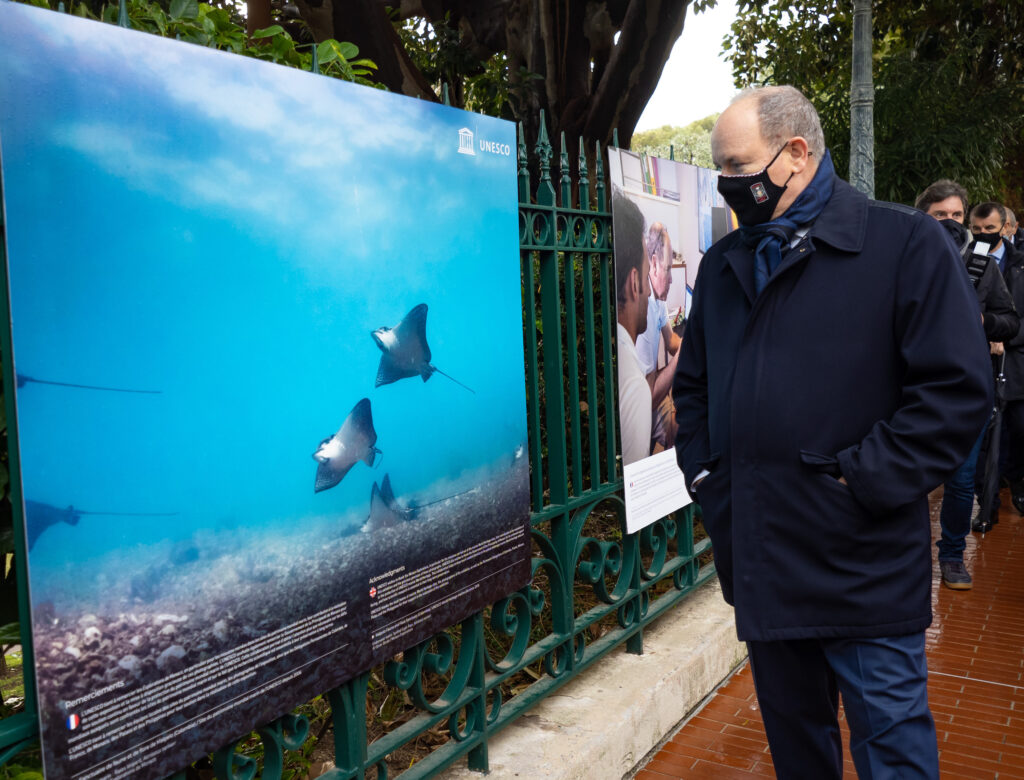 Il Principe Albert II ha visitato l'esposizione fotografica intitolata "Proteggere il patrimonio marino mondiale dell’UNESCO attraverso la ricerca scientifica" a Monaco Ville.