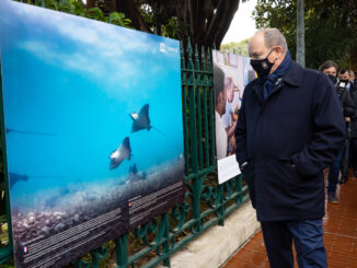 Il Principe Albert II ha visitato l'esposizione fotografica intitolata "Proteggere il patrimonio marino mondiale dell’UNESCO attraverso la ricerca scientifica" a Monaco Ville.