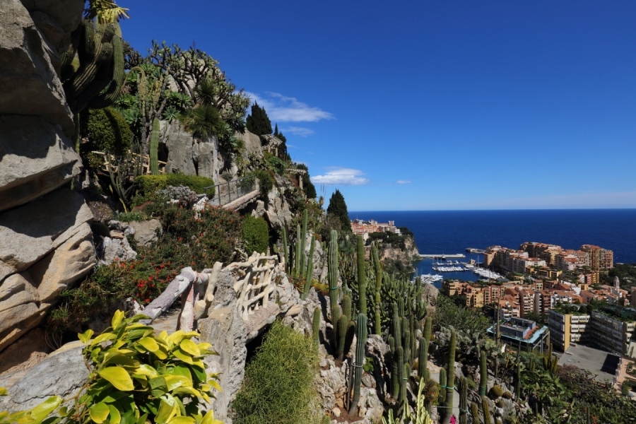 Ristrutturazioni del comune di Monaco per il jardin Exotique, Villa Lamartine e dell'Accademia Rainier III