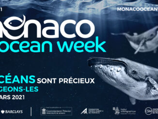 Monaco Ocean Week, una video-conferenza per scoprire le scogliere artificiali delle aree marine protette del Principato ideate dall'Association Monégasque pour la Protection de la Nature