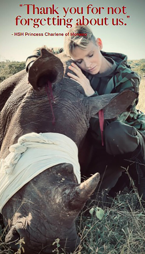 La Principessa Charlene di Monaco non sarà al GP di F1 di Monaco perché in Africa per una campagna per la conservazione della fauna selvatica. Avrebbe dovuto rientrare ma soffre di un'otite