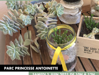 Laboratorio verde al Parco princesse Antoinette di Monaco sabato 5 giugno su iscrizione....