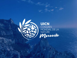 Al Congresso Mondiale per la Conservazione della Natura (IUCN), in corso a Marsiglia arriva anche il Principe Albert II di Monaco, che interverrà a favore degli oceani, il 6 e il 7 settembre.