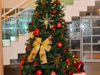 Iscrizioni aperte per ricevere i regali dell'albero di Natale del Comune fino al 3 dicembre per i bambini tra i 3 e i 7 anni le cuis famiglie hanno problemi economici