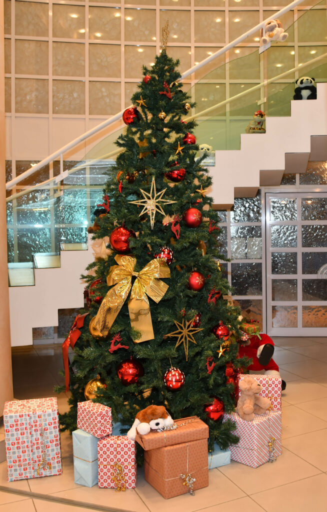 Iscrizioni aperte per ricevere i regali dell'albero di Natale del Comune fino al 3 dicembre per i bambini tra i 3 e i 7 anni le cuis famiglie hanno problemi economici