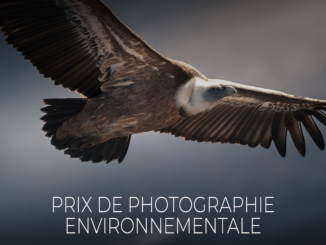 La FPA2 di Monaco lancia il 2° PREMIO DI FOTOGRAFIA AMBIENTALE