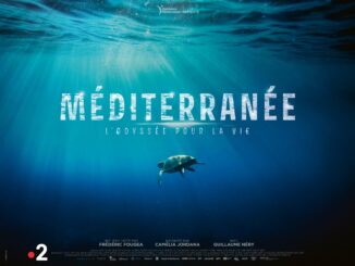 Monaco Ocean Week e la FPA2 invitano alla proiezione di "Mediterranée, L'Odyssée pour la Vie"