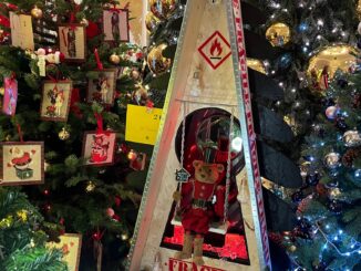 156 mila euro grazie alla vendita di alberi di Natale, a favore di Action Innocence Monaco che ha festeggiato 20 anni in presenza dei Principi