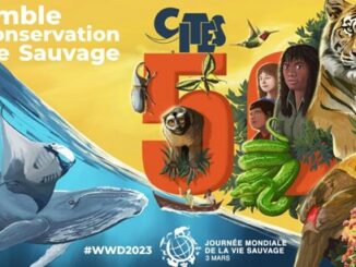 3 marzo 2023: si celebra a Monaco la giornata mondiale della fauna selvatica, World Wild LifeDay