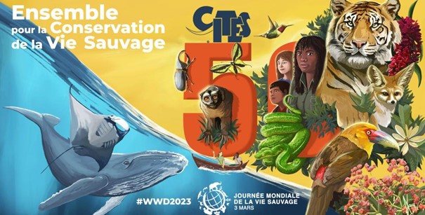 3 marzo 2023: si celebra  a Monaco la giornata mondiale della fauna selvatica, World Wild LifeDay