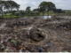 Finalmente lo Sri Lanka ha deciso di bandire l'uso della plastica monouso. Motivo? La moria di elefanti che fanno la ricchezza del Paese.