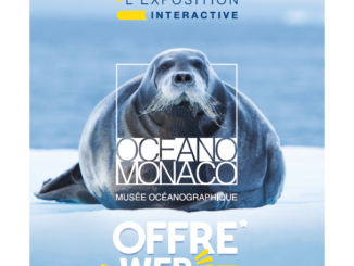 Vacanze estive al Museo Oceanografico dal 3 luglio al 3 settembre