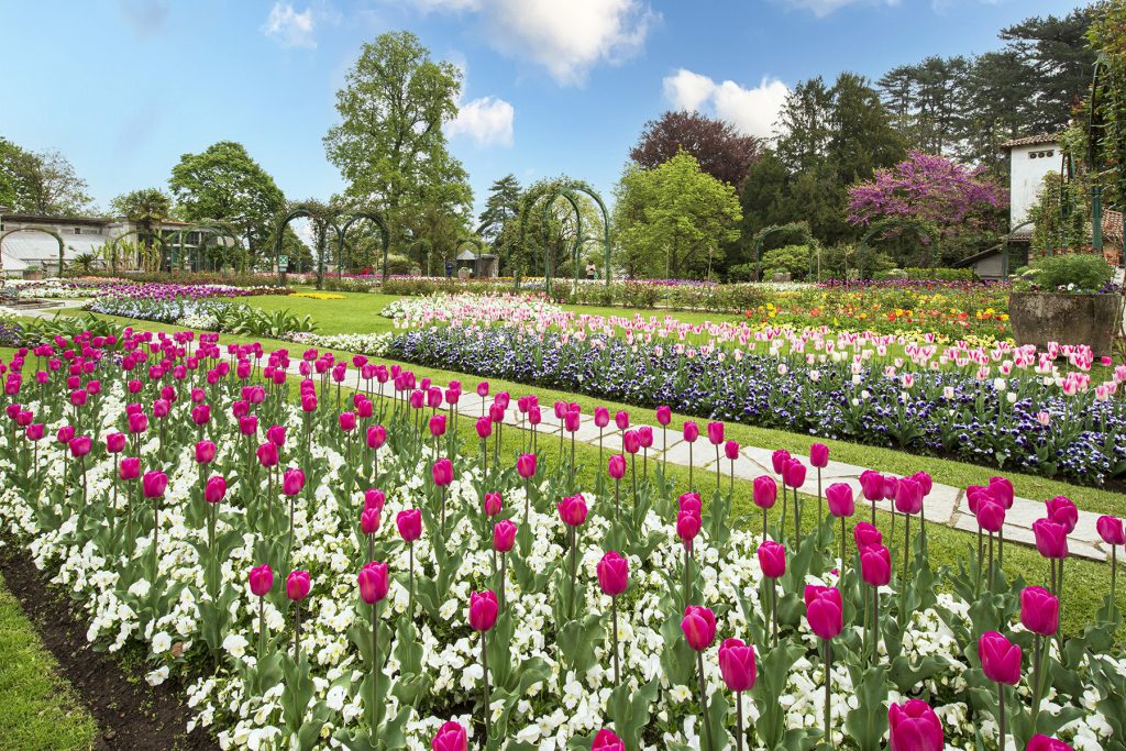 Parco Palalvicino sul lago Maggiore