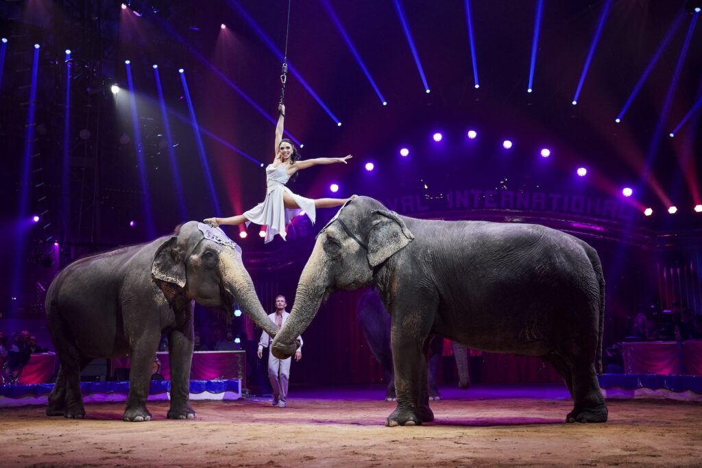 I Vincitori dei 50 anni del Festival Internazionale del Circo di Monte-Carlo