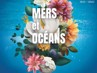 "Mari ed Oceani" saranno i protagonisti del 55° Concorso Internazionale di Bouquets a cura del Garden Club di Monaco vice-presidente Cecilia Casiraghi