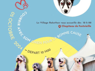 Sabato 5 ottobre dalle ore 10, appuntamento al Villaggio Rokethon a Fontvieille per una corsa di solidarietà contro l'abbandono di cani e gatti.