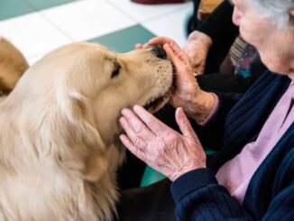 Arriva al Centro di Geriatria Rainier III di Monaco il cane Sepia per la Pet Terapia