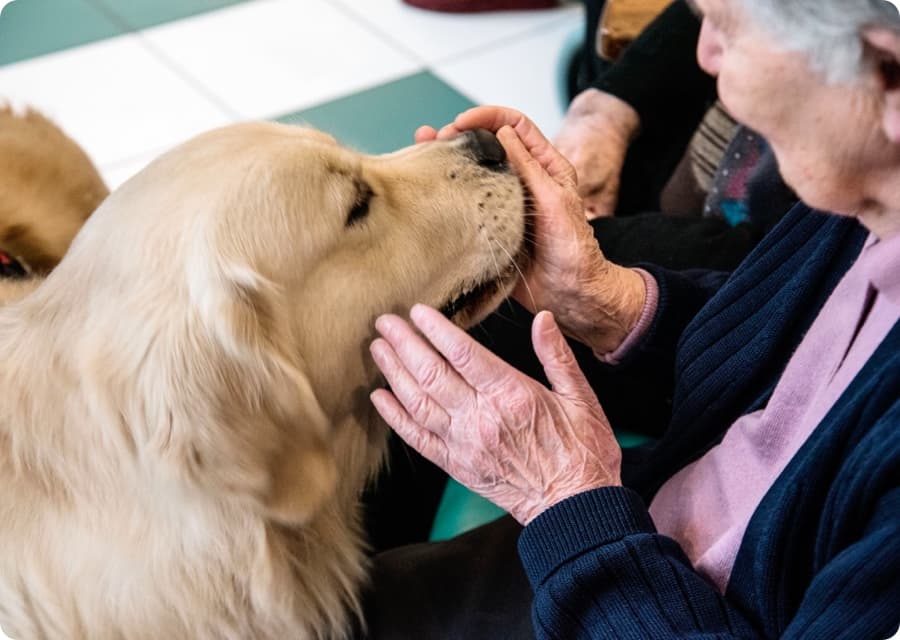 Arriva al Centro di Geriatria Rainier III di Monaco il cane Sepia per la Pet Terapia