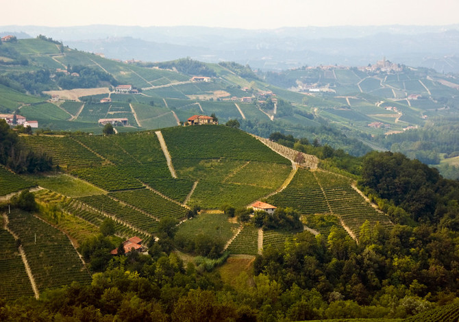 In Monferrato tutti i colori dell'autunno