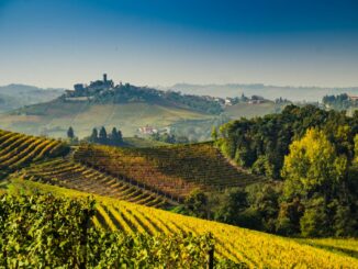 In Monferrato tutti i colori dell'autunno di Francesca Sirignani