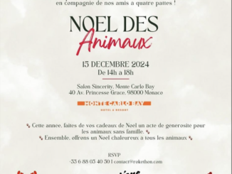 Per tutti gli amanti degli animali, l'associazione Rokethon organizza un Natale speciale a Monaco con gli amici a 4 zampe presso l'Hotel Monte-Carlo Bay.