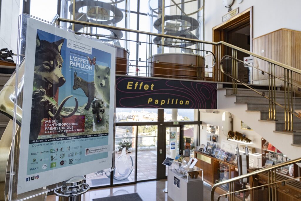 Al Museo di Antropologia Preistorica una nuova mostra dal titolo "L'effetto Papillon, la Preistoria degli animali".