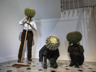 Mostra “CACTUS” al Nouveau Musée National de Monaco: arte e botanica alla Villa Sauber fino all'11 gennaio 2026.