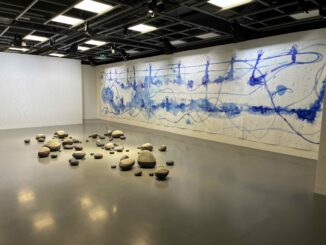 La Direzione degli Affari Culturali di Monaco presenta fino al 7 settembre 2025 la mostra “Domani l’oceano?