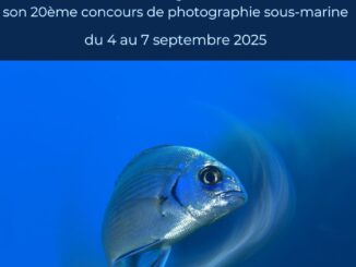 Monaco: Tre concorsi di fotografia subacquea dal 4 al 7 settembre organizzati dal Club d’Exploration Sous-Marine
