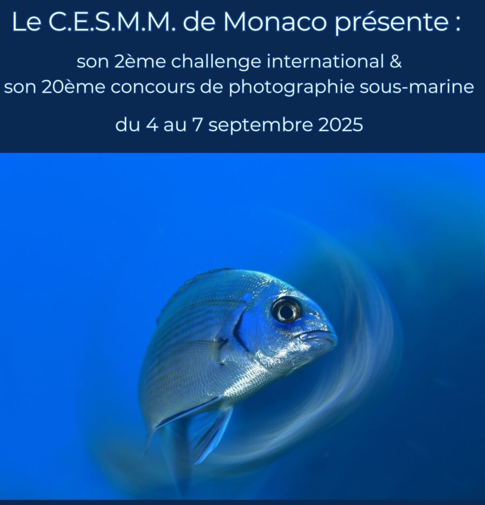 Monaco: Tre concorsi di fotografia subacquea dal 4 al 7 settembre organizzati dal Club d’Exploration Sous-Marine