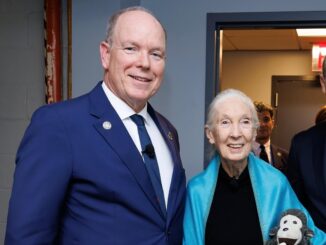 Addio a Jane Goodall, definita la donna che parlava alle scimmie. Il ricordo del Principe Alberto II