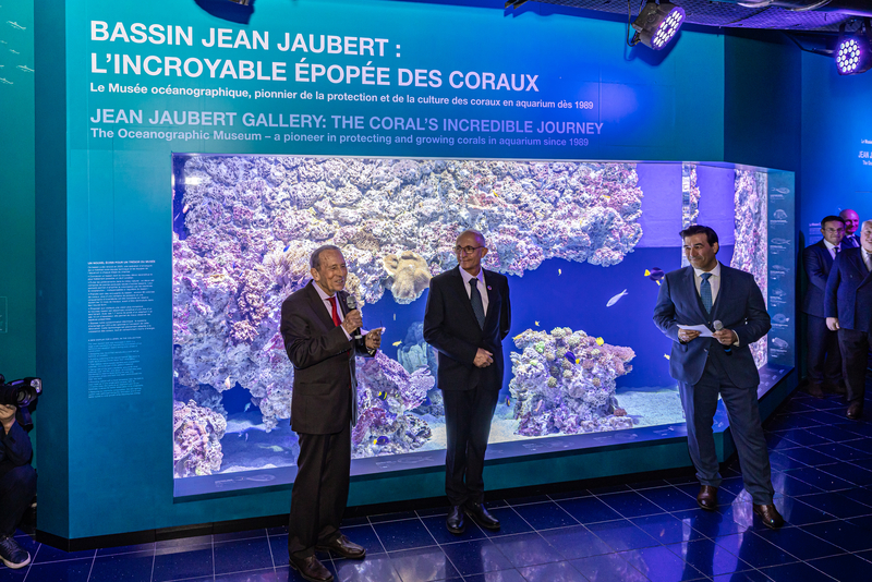 Al museo oceanografico il rinnovato Bassin Jean Jaubert sui coralli