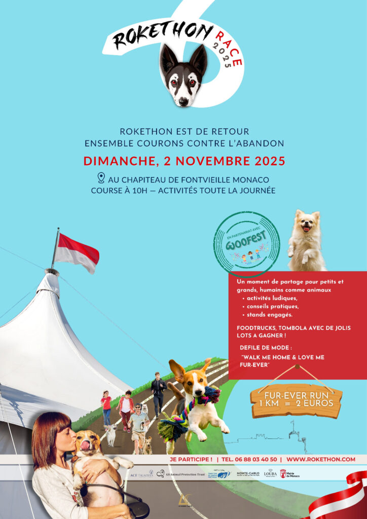 ROKETHON 2025, LA MARCIA CONTRO L'ABBANDONO DEI CANI torna il 2 novembre