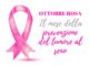 Ottobre rosa: l'importanza dello screening per prevenire il cancro al seno