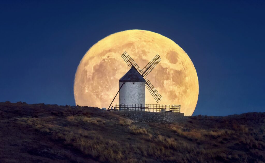 Jesus Manuel Garcia Flores