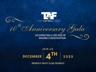 TAF celebra 10 anni d'impegno per la protezione dell’oceano