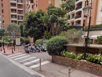 A Fontvieille cambia il volto di una delle vie più frequentate, l'avenue des Papalins protagonista di un aumento del verde.