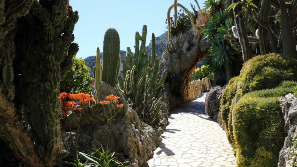Il jardin Exotique di Monaco riaprirà domenica 29 marzo