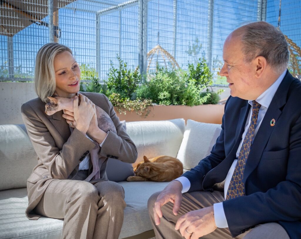 La Principessa Charlene coccola un gatto seduta sul divano di una delle terrazze-lounge dedicate ai gatti