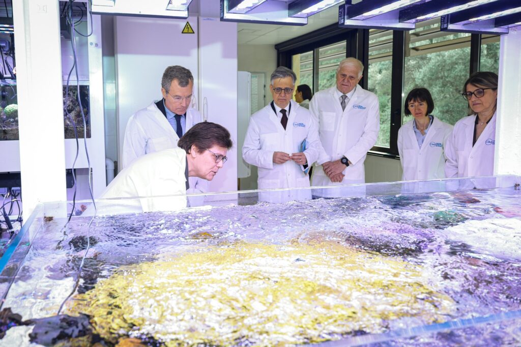 Uno degli acquari del Centre Scientifique de Monaco visitato dal ministro di Stato Mirmand e dal Ministro dell'interno Beffre