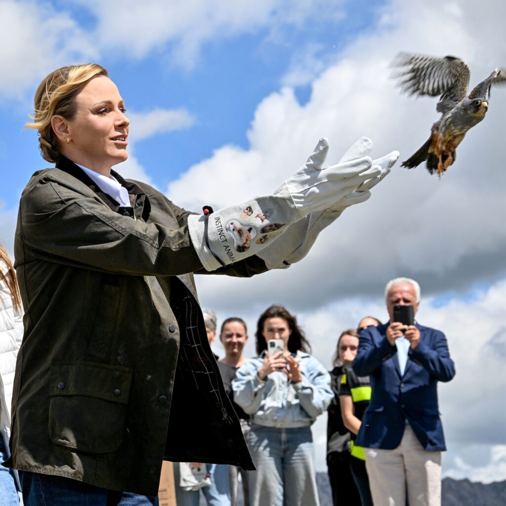 S.A.S. la Principessa Charlène di Monaco ha rilasciato un falco Kobez dall'altopiano di Calern sede dell'Osservatorio Astronomico, nel comune di Caussols.