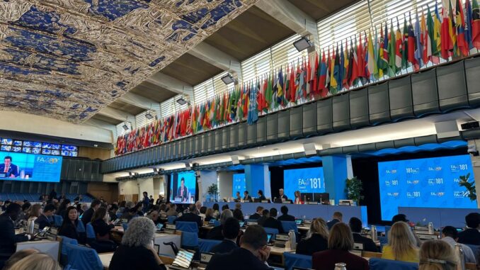 Il Principato ha partecipato a Roma ai lavori della FAO su crisi alimentari, guerra in Ucraina e riforma della governance globale.