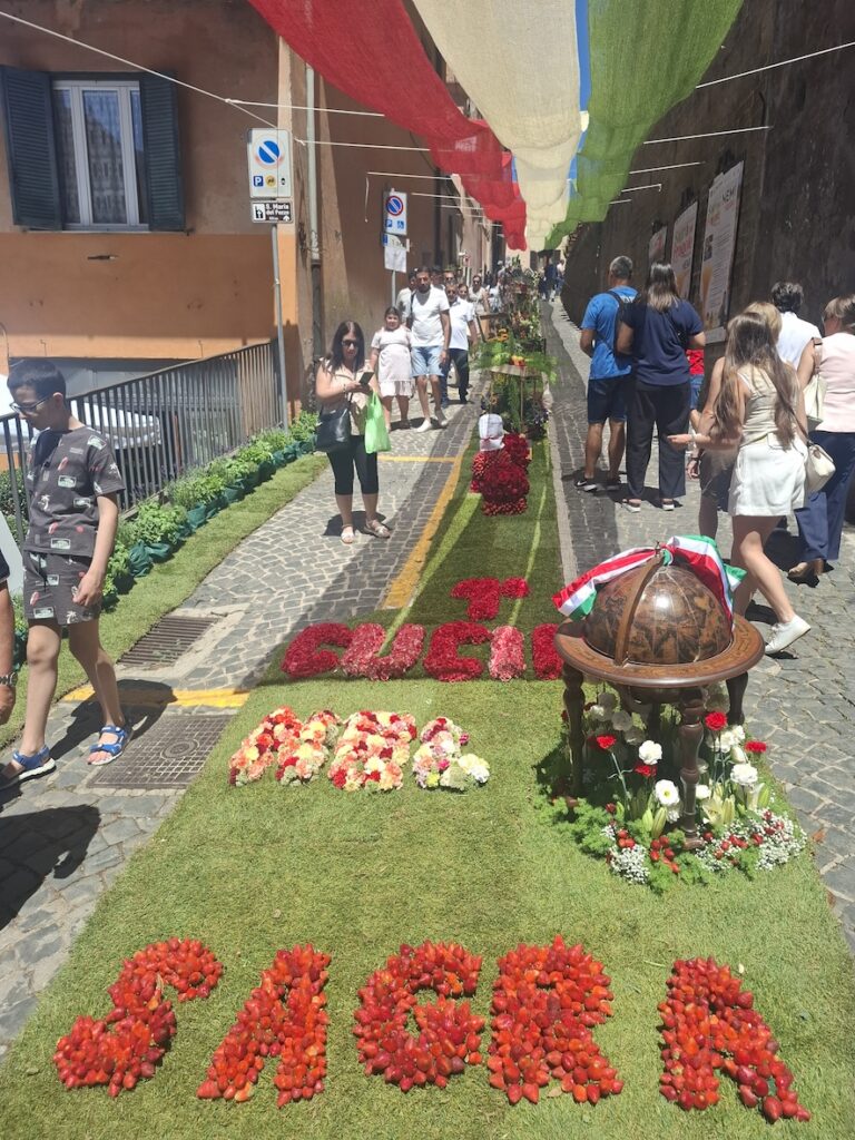 La sgra a Nemi di Fragoline di bosco