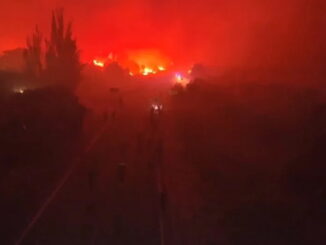 Il Principe Alberto II esprime solidarietà alle vittime degli incendi che colpiscono l'Europa